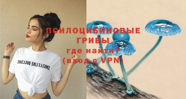 гидра Белоозёрский