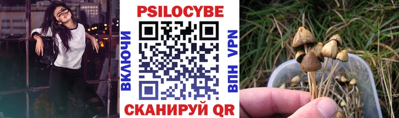 Галлюциногенные грибы GOLDEN TEACHER  Дальнегорск 